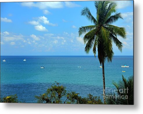 Blue Skies Metal Print featuring the photograph Colors of the Pacific by Bob Hislop