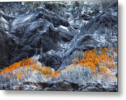Snow Metal Print featuring the photograph Colors on the Hill by Darren White