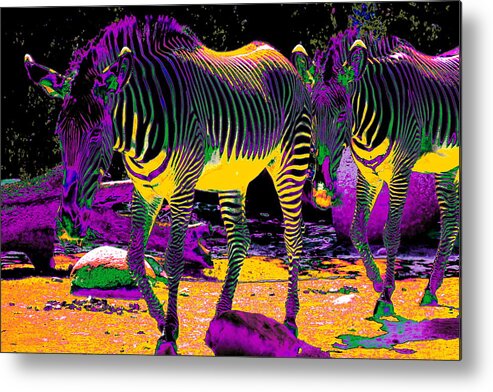 Zebra Metal Print featuring the photograph Colourful Zebras by Aidan Moran