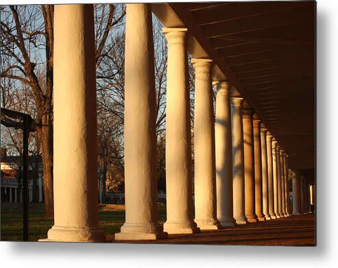 Column Metal Print featuring the photograph Columns at the University of Virginia by Emanuel Tanjala
