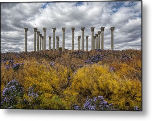 Capitol Metal Print featuring the photograph Columns in Fall colors by Erika Fawcett