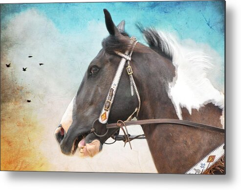 Animals Metal Print featuring the photograph Comanche by Jan Amiss Photography