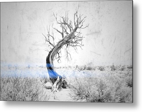 Tree Metal Print featuring the photograph Conclusion by Mark Ross