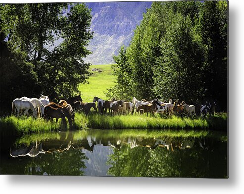 Cody Metal Print featuring the photograph Cool Waters by Pamela Steege