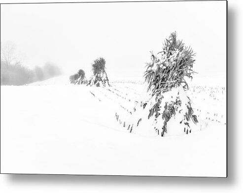 Corn Shocks Metal Print featuring the photograph Corn Shocks in a winter field - BW by Chris Bordeleau