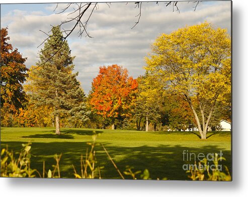 Fall Foliage Metal Print featuring the photograph Corning Fall Foliage 5 by Tom Doud