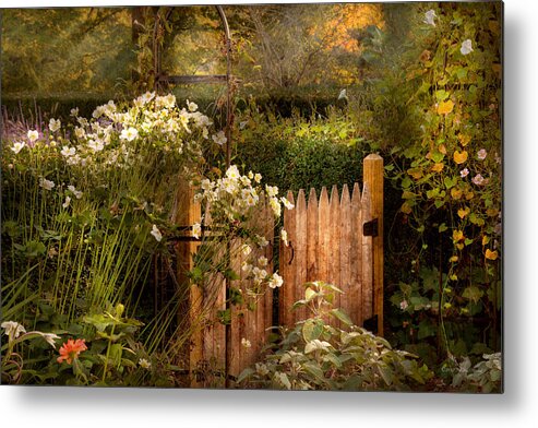 Country Metal Print featuring the photograph Country - Country autumn garden by Mike Savad