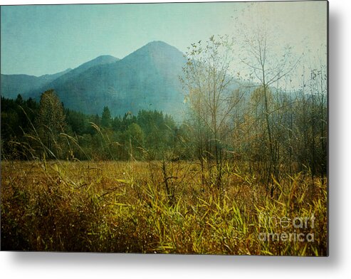 Country Metal Print featuring the photograph Country Drive by Sylvia Cook