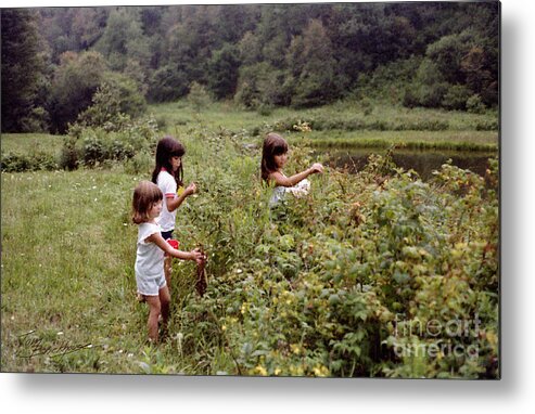 Country Scene Metal Print featuring the photograph Country Girls Picking Wild Berries by Tom Brickhouse