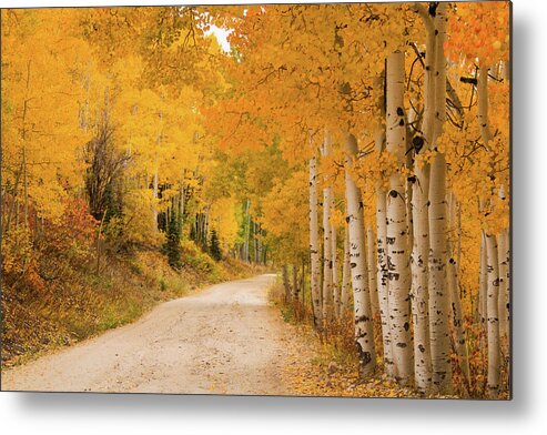Tranquility Metal Print featuring the photograph Country Road In Fall Season by David Epperson