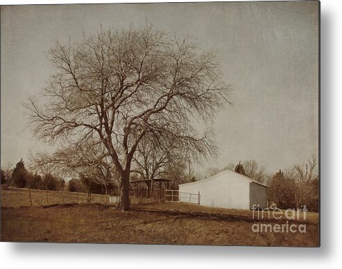 Countryside Metal Print featuring the photograph Countryside by Elena Nosyreva