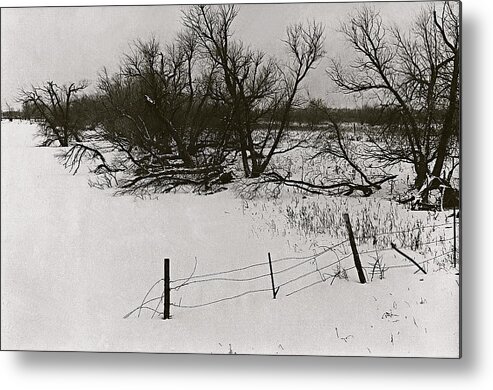 Countryside Fence Trees Near Aberdeen South Dakota 1965 Black And White Metal Print featuring the photograph Countryside fence trees near Aberdeen South Dakota 1965 black and white by David Lee Guss