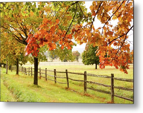 Tranquility Metal Print featuring the photograph Countryside Landscape With Fence by Jena Ardell