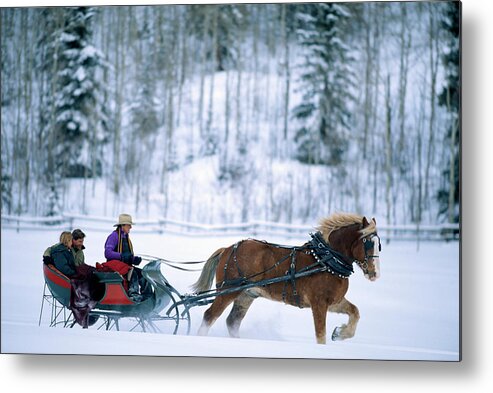 Horse Metal Print featuring the photograph Couple In Horse Drawn Sleigh In Aspen,colorado by John P Kelly