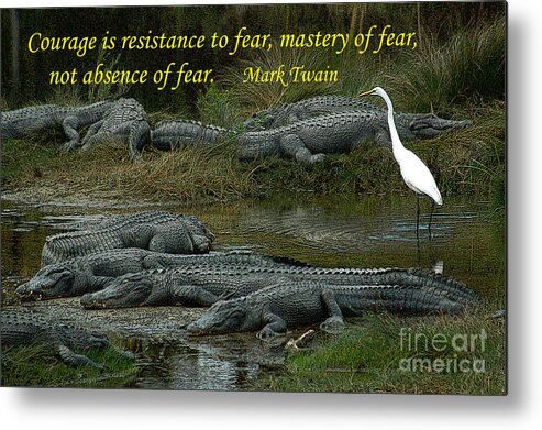 Courage Metal Print featuring the photograph Courage and Fear by Gene Bleile Photography 