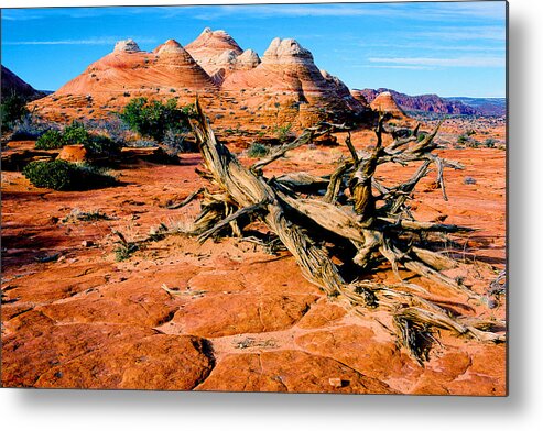 Arizona Metal Print featuring the photograph Coyote Buttes by Frank Houck