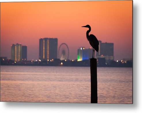 Bird Metal Print featuring the photograph Crane on a Pier by Tim Stanley
