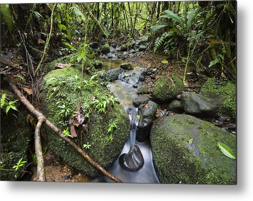 Feb0514 Metal Print featuring the photograph Creek In Mountain Rainforest Costa Rica by Konrad Wothe