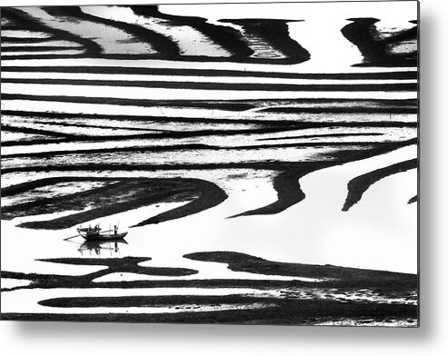 Zebra Metal Print featuring the photograph Cruising On A Zebra by Youdu,tian(???)