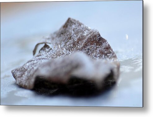 Crystalized Metal Print featuring the photograph Crystalized by Maria Urso