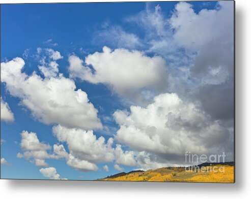 00559138 Metal Print featuring the photograph Cumulus Clouds And Aspens by Yva Momatiuk John Eastcott