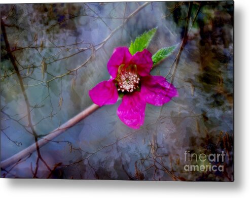 Adria Trail Metal Print featuring the photograph Currant Blossom In The Storm by Adria Trail