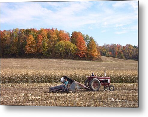 Cutting Metal Print featuring the photograph Cutting the Corn by R B Harper