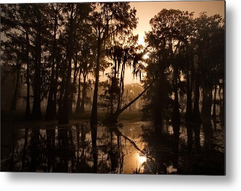 Louisiana Metal Print featuring the photograph Cypress Sunrise by Ron Weathers