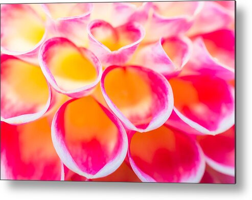 Floral Metal Print featuring the photograph Dahlia Abstract by Priya Ghose