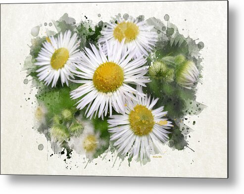 Daisy Metal Print featuring the mixed media Daisy Watercolor Flowers by Christina Rollo