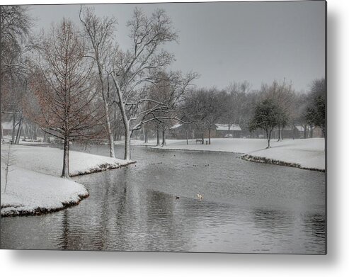 Winter Metal Print featuring the photograph Dallas Snow Day by Bill Hamilton