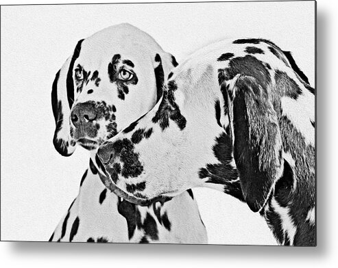 101 Metal Print featuring the painting Dalmatians - A Great Breed for the Right Family by Alexandra Till