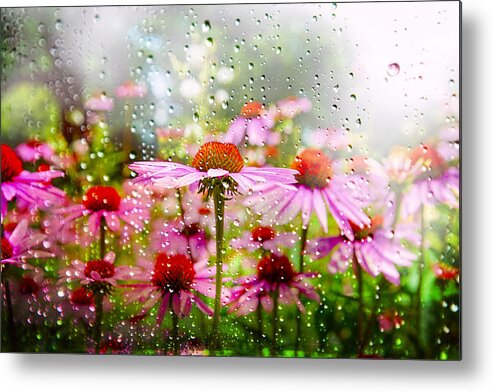 Cone Flowers. Pink Flowers Rain. Green Stems. Green Grasses. Trees. Forest. Woods. Photography. Texture. Print. Canvas. Digital Art. Poster. Greeting Card. Nature. Summer Landscape. Water. Fine Art. Framed Art. Cell Phone Cover/skins. Metal Print featuring the photograph Dancing in the Rain by Mary Timman