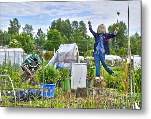 Garden Metal Print featuring the photograph Dancing Scarecrow in the Garden by Maria Janicki