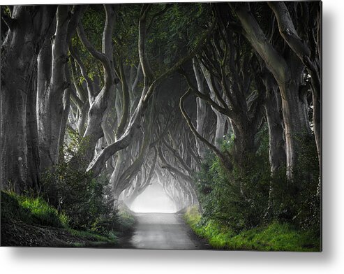 Trees Metal Print featuring the photograph Dark Hedges by Nicola Molteni