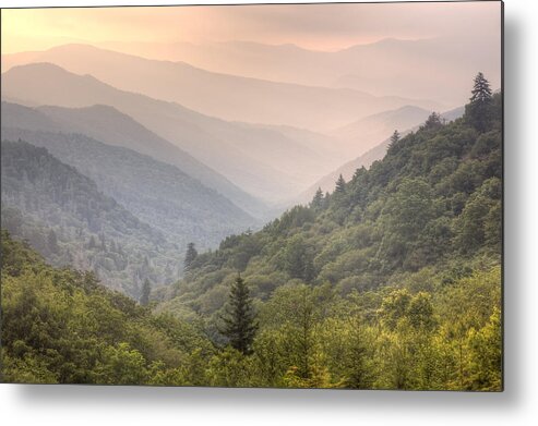 Sun Metal Print featuring the photograph Dawn's Early Light by Doug McPherson