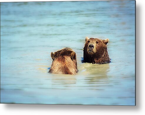 Bear Metal Print featuring the photograph Day at the Spa by Melanie Lankford Photography