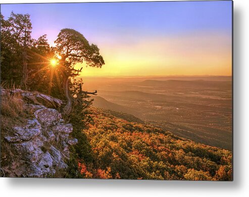 Mt. Magazine Metal Print featuring the photograph Daybreak on Mt. Magazine - Arkansas - Cedar Tree - Autumn by Jason Politte