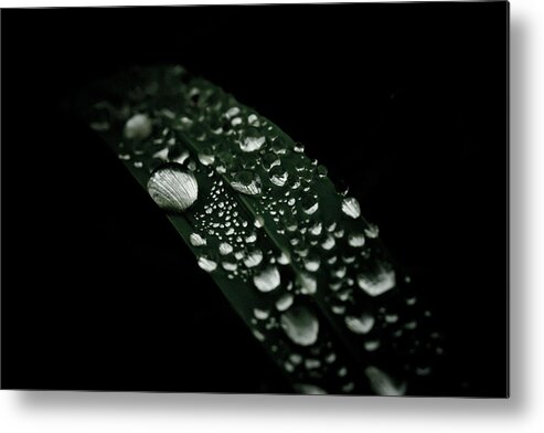 Droplets Metal Print featuring the photograph Dazzlin' by Shane Holsclaw