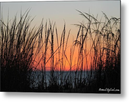 December Metal Print featuring the photograph December Dawn by Robert Banach