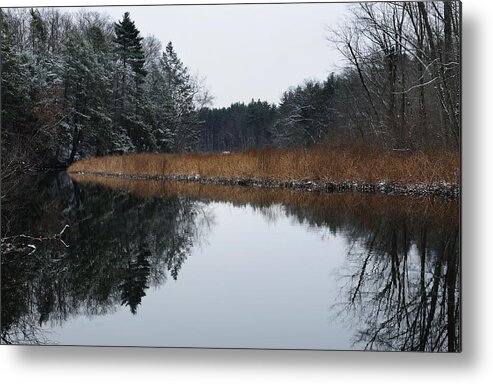 Trees Metal Print featuring the photograph December Landscape by Luke Moore