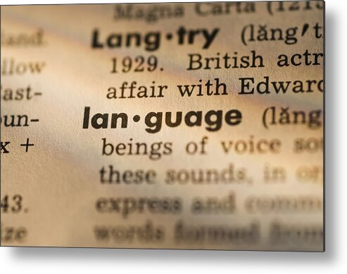 Focus Metal Print featuring the photograph Definition of language in dictionary by Daniel Grill