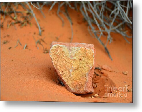 Horseshoe Bend Metal Print featuring the photograph Desert Heart Rock by Debra Thompson