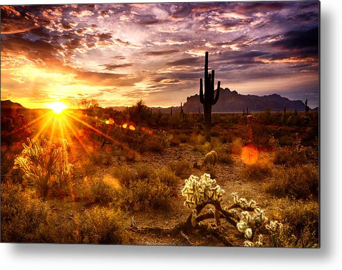 Sunrise Metal Print featuring the photograph Desert Sunshine by Saija Lehtonen