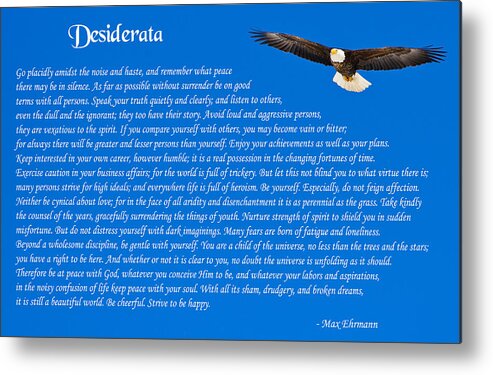 Desiderata Metal Print featuring the photograph Desiderata with Bald Eagle by Greg Norrell