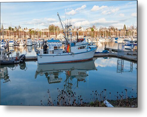 Bellingham Metal Print featuring the photograph Desire by Judy Wright Lott