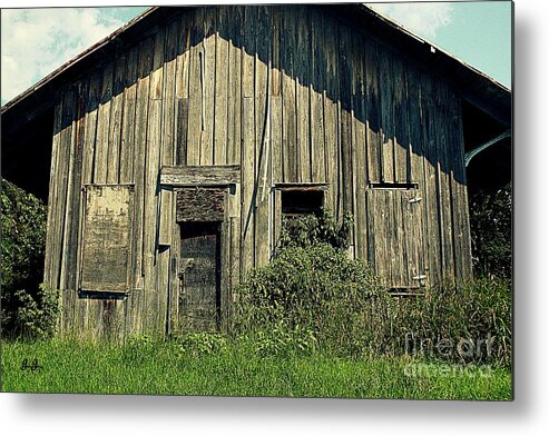 Rustic Metal Print featuring the photograph Desolate Overgrowth by Geri Glavis