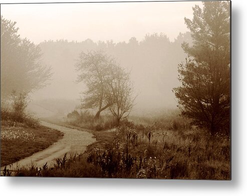 Tree Metal Print featuring the photograph Desolation by Bruce Patrick Smith