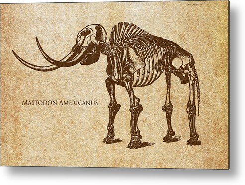 Mammut Metal Print featuring the digital art Dinosaur Mastodon Americanus by Aged Pixel