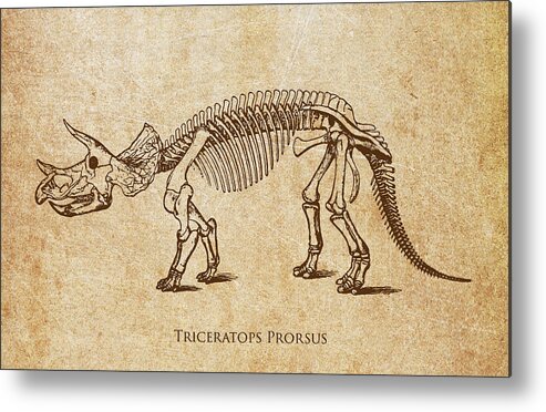 Dinosaur Metal Print featuring the digital art Dinosaur Triceratops Prorsus by Aged Pixel